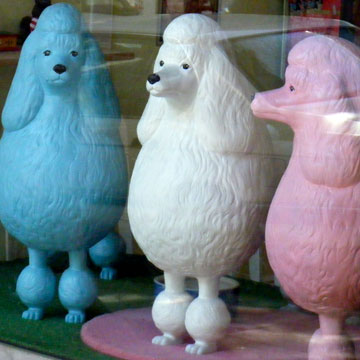 poodles.jpg