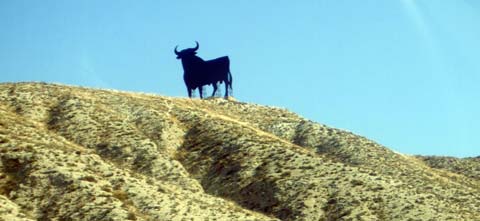 stier.jpg