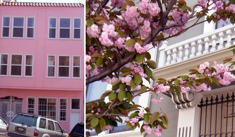 pink.jpg